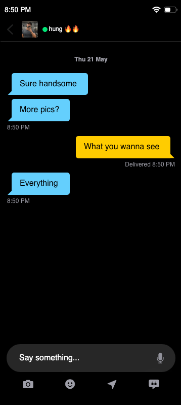 Everything — fake Grindr chat screenshot